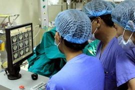 Ảnh minh họa. (Nguồn: TTXVN/Vietnam+)