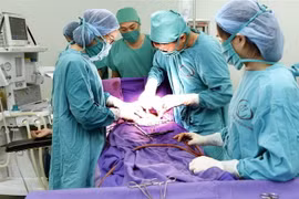 Đắp thuốc nam điều trị bệnh trĩ, bệnh nhân bị hoại tử hậu môn