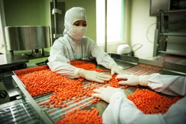 Sản xuất thuốc tại một nhà máy sản xuất trong nước theo tiêu chuẩn quốc tế. (Ảnh: TTXVN/Vietnam+)