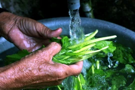 Người dân sử dụng nước sạch trong sinh hoạt hàng ngày. (Ảnh: Thế Duyệt/TTXVN)