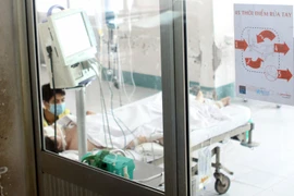 Ảnh minh họa. (Nguồn: TTXVN/Vietnam+)