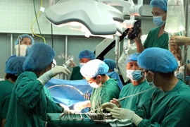 Một ca ghép tạng được các bác sỹ Bệnh viện Việt Đức tiến hành. (Ảnh: TTXVN/Vietnam+)