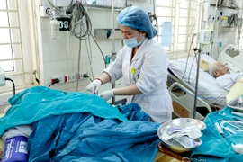 Ảnh minh họa. (Nguồn: TTXVN)