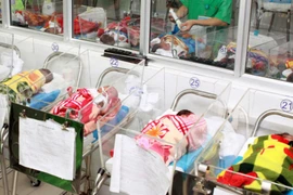 Ảnh minh họa. (Ảnh: Dương Ngọc/TTXVN)