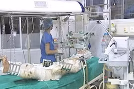 Hội chẩn liên viện điều trị 3 chiến sỹ trong vụ máy bay rơi