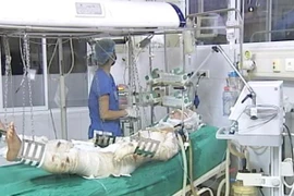 Hội chẩn liên viện điều trị 3 chiến sỹ trong vụ máy bay rơi