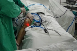 Ảnh minh họa. (Nguồn: TTXVN/Vietnam+)