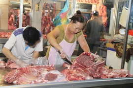 Trong thời gian tới, việc thanh tra an toàn thực phẩm sẽ trên diện rộng hơn. (Ảnh: TTXVN/Vietnam+)