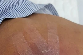 Ảnh minh họa. (Ảnh: PV/Vietnam+)