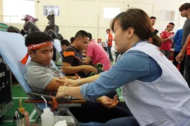 97% nguồn máu hiện nay thu được là do người hiến tình nguyện. (Ảnh: TTXVN/Vietnam+)