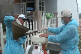Dịch bệnh sốt xuất huyết có nguy cơ diễn biến phức tạp 