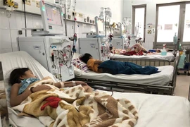 Ảnh minh hoạ. (Ảnh: TTXVN)