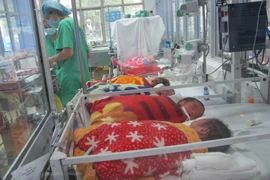 Chăm sóc cho trẻ sơ sinh tại Bệnh viện Phụ sản Trung ương. (Ảnh: T.G/Vietnam+)