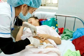 Ảnh minh họa. (Nguồn: TTXVN)