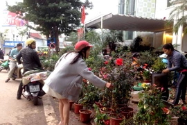 Chiều 30 Tết, phố hoa Hoàng Hoa Thám vẫn tắc đường kéo dài 