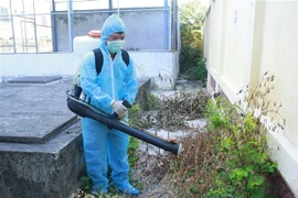Cán bộ y tế dự phòng phun hóa chất diệt muỗi,loăng quăng phòng chống bệnh sốt xuất huyết. (Ảnh: TTXVN)