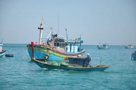 Hơn 50% trạm y tế ở các xã đảo hiện không có bác sỹ