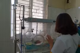 Chăm sóc cho trẻ sơ sinh. (Ảnh: PV/Vietnam+)
