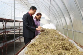 Dây chuyền hong, sấy dược liệu của một công ty. (Ảnh: Hoàng Nguyên/TTXVN)