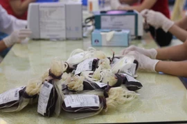 Nhóm máu O phục vụ cho điều trị đang thiếu trầm trọng. (Ảnh: TTXVN/Vietnam+)