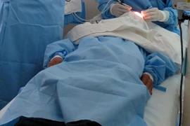 Ảnh minh họa. (Nguồn: TTXVN)