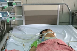 Một bé trai bị hôn mê nặng sau khi ăn sắn cao sản nướng 