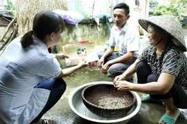 Nhân viên y tế hướng dẫn người dân phòng bệnh, vệ sinh cá nhân. (Ảnh: Dương Ngọc/TTXVN)