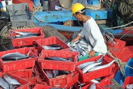 "Nước biển đạt quy chuẩn nhưng chưa chắc thủy hải sản đã an toàn"