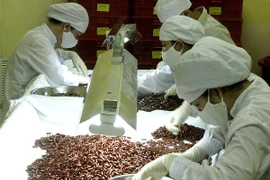 Số lượng thuốc trong nước trúng thầu tăng gấp đôi sau 2 năm