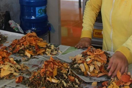 Chuyên gia khuyến cáo người dân nên mua thuốc dạng thang sắc để tránh bị trộn với thuốc tân dược. (Ảnh: TTXVN/Vietnam+)