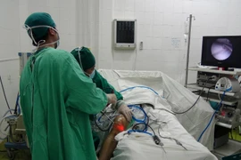 Ảnh minh họa. (Nguồn: TTXVN/Vietnam+)