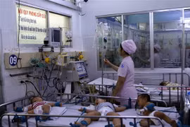 Trẻ mắc bệnh tay chân miệng đang điều trị tại Bệnh viện Nhi đồng 1, Thành phố Hồ Chí Minh. (Ảnh: TTXVN)