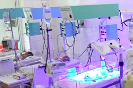 Ảnh minh họa. (Nguồn: TTXVN/Vietnam+) 