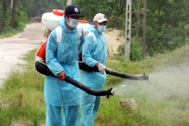 Giám sát chặt chẽ tình hình dịch bệnh sốt xuất huyết ở Hà Nội 