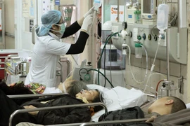 Ảnh minh họa. (Nguồn: TTXVN/Vietnam+)