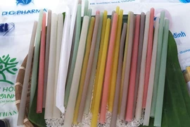 Cuốn hút, độc đáo từ những sản phẩm nhựa thân thiện môi trường 