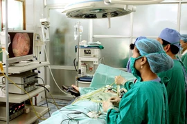 Ảnh minh họa. (Nguồn: TTXVN/Vietnam+)
