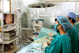 Ảnh minh họa. (Nguồn: TTXVN/Vietnam+)