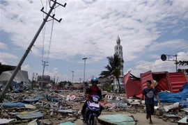 Đường phố, nhà cửa bị tàn phá sau động đất và sóng thần ở Palu, đảo Sulawesi của Indonesia ngày 29/8. (Ảnh: AFP/TTXVN)
