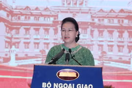 Chủ tịch Quốc hội Nguyễn Thị Kim Ngân phát biểu tại Hội nghị ngoại giao lần thứ 30. (Ảnh: Trọng Đức/TTXVN)