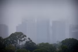 Sương mù bao phủ thành phố Brisbane của Australia. (Ảnh: AFP/TTXVN)