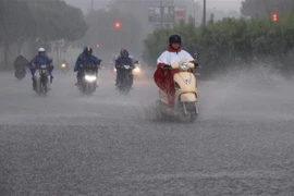 Mưa lớn gây ngập. (Ảnh: Xuân Dự/TTXVN)
