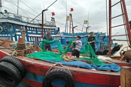 Cán bộ Đồn Biên phòng Sầm Sơn giúp ngư dân phường Quảng Tiến, thành phố Sầm Sơn, tỉnh Thanh Hóa, cất ngư lưới cụ, phòng chống bão. (Ảnh: Nguyễn Nam/TTXVN) 