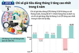 [Infographics] Chỉ số giá tiêu dùng tháng 5 tăng cao trong 6 năm 