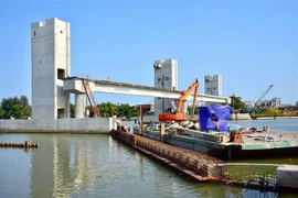 (Ảnh: Trần Xuân Tình/TTXVN)