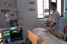 (Ảnh minh họa: Hưng Thịnh/TTXVN)