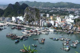 Đảo Cái Bầu là đảo trung tâm, giàu nguồn tài nguyên cho phát triển du lịch sinh thái chất lượng cao nhờ có điều kiện tự nhiên thuận lợi, có nhiều đảo đất hoang sơ, bãi biển đẹp. (Ảnh: Minh Quyết/TTXVN)