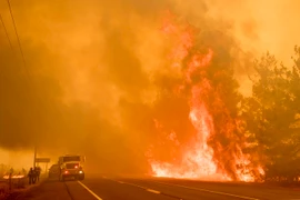 Lực lượng cứu hỏa dập lửa cháy rừng ở dọc đường cao tốc 20, gần Clearlake Oaks, California của Mỹ ngày 1/7 vừa qua. (Ảnh: AFP/TTXVN)