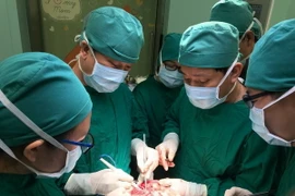 Các bác sỹ thực hiện một ca phẫu thuật cho bệnh nhân. (Ảnh: TTXVN)