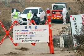 Nhân viên kiểm dịch làm nhiệm vụ tại một trang trại ở Naju, cách thủ đô Seoul 355km về phía nam ngày 29/12/2017. (Ảnh: Yonhap/TTXVN)